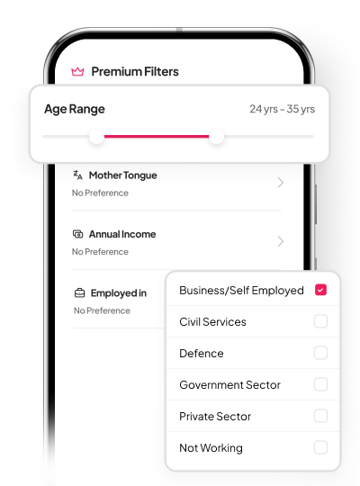 Premium Interface